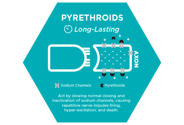 Chart showing insecticide class and pyrethroids mode of action