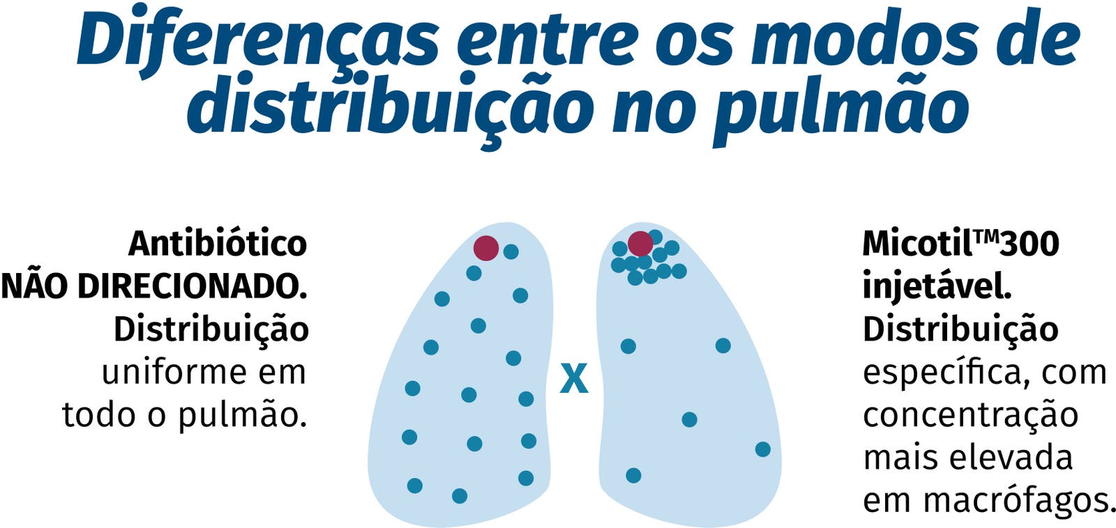 modos de distribuição no pulmão