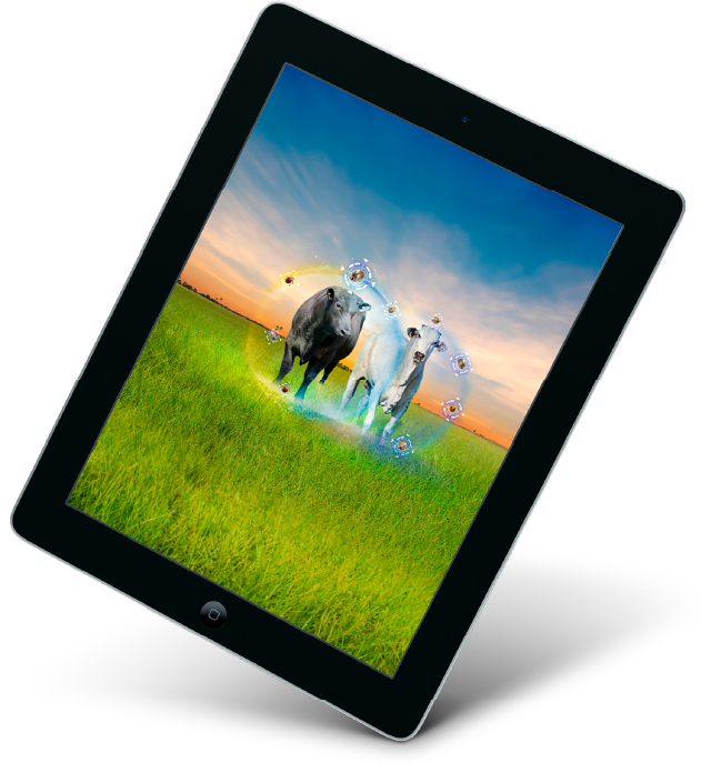 Imagem do tablet com o programa de controle de carrapatos