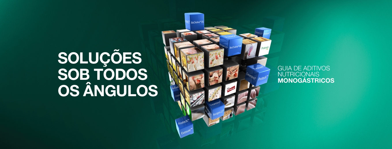 Aditivos nutricionais Elanco para aves e suínos