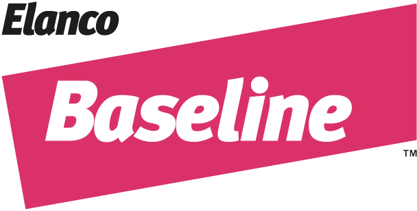 Baseline brand logo