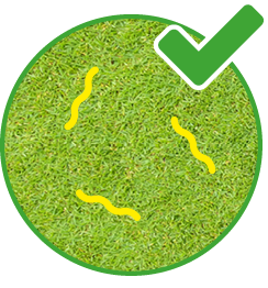 Low worm risk icon