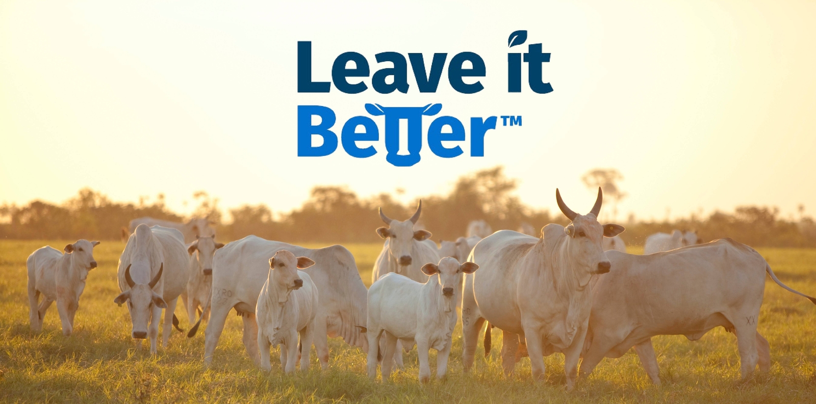 Banner do programa Leave It Better Elanco
