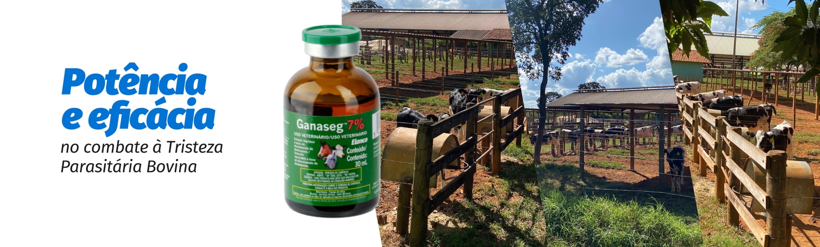 Banner principal web Ganaseg™ 7% Leite Potência e eficácia