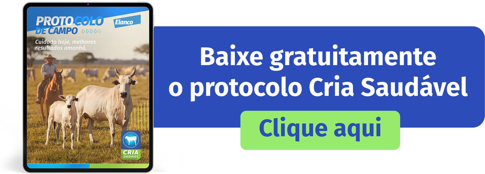Baixe Protocolo Cria Saudavel