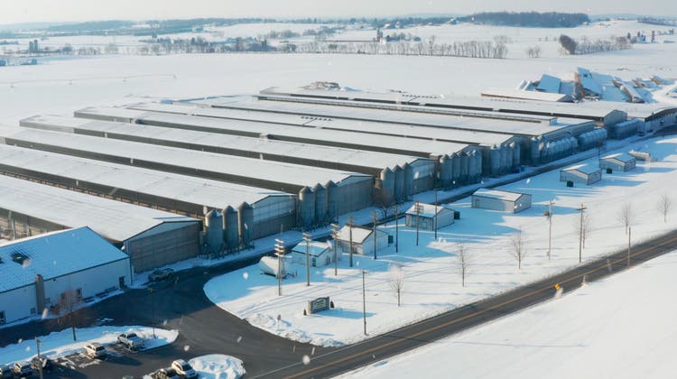 Poultry operation covered in snow