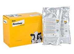 Kexxtone for cows at risk of ketosis