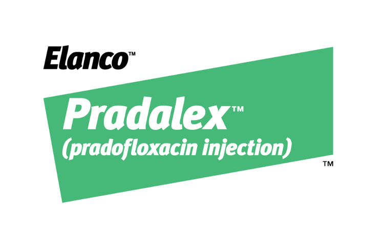 Pradalex by Elanco (pradofloxacin injection)