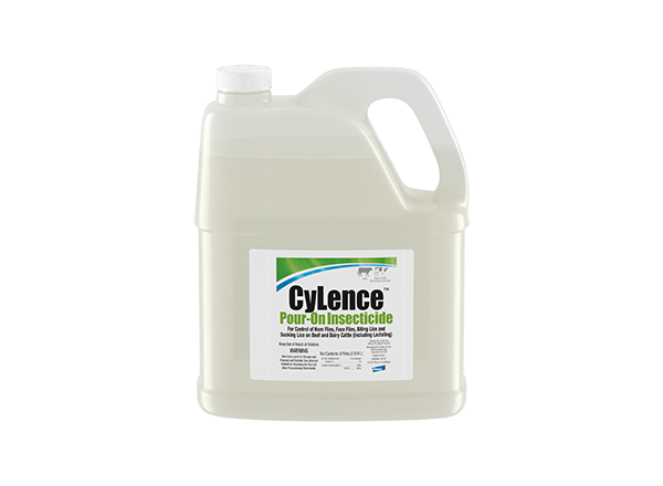 A large, white plastic jug of CyLence Pour-On Insecticide, featuring a white label with green and blue accents.
