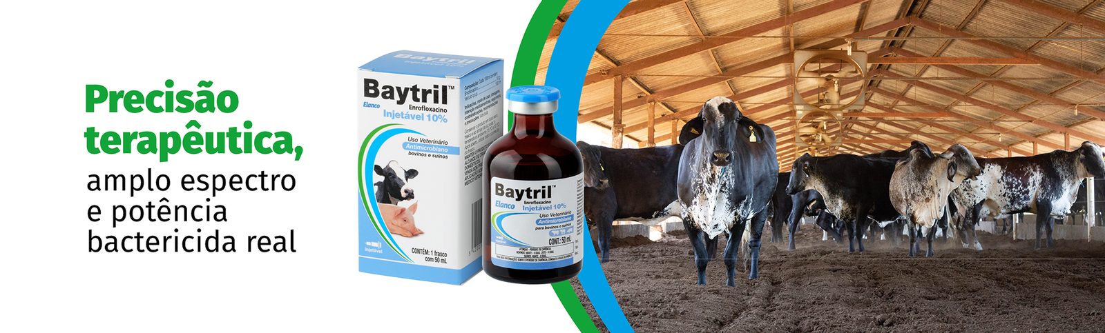 Banner Desktop Baytril™ Precisão terapêutica, amplo espectro e potencia bactericida real
