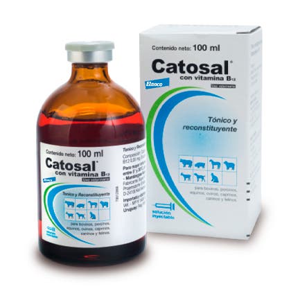 Catosal