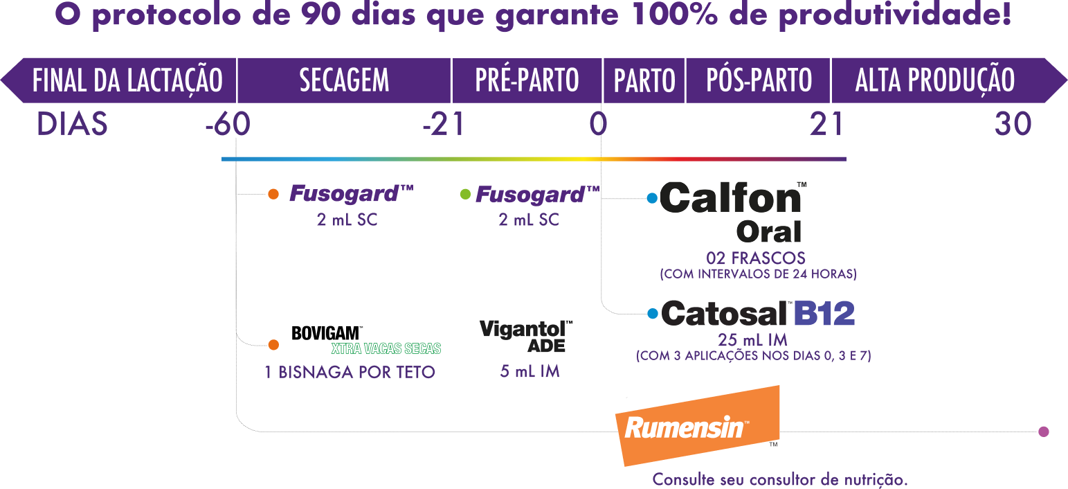 O protocolo de 90 dias que garante 100% de produtividade mobile