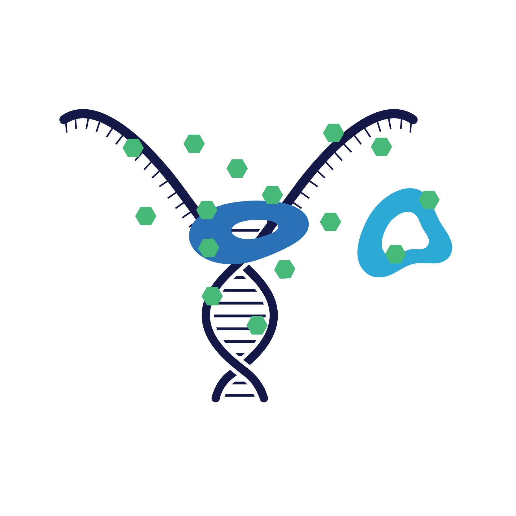 This image shows how Pradalex works by simultaneously binding and inactivating inhibiting bacterial replication.