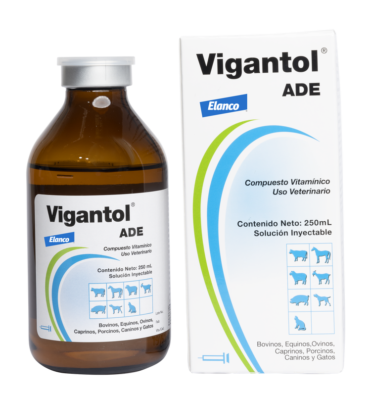 Producto_Vigantol ADE