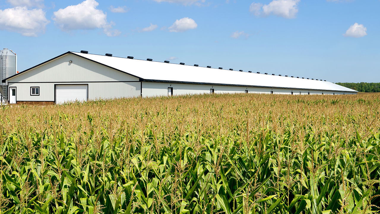 Poultry House Near Corn Field Using EPA-Regulated Pesticide Products 