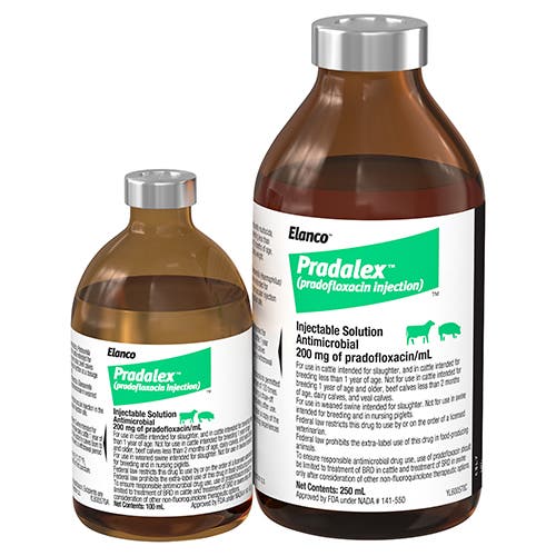 Two amber glass bottles of Elanco Pradalex™ (pradofloxacin injection) in 100 mL and 250 mL sizes.
