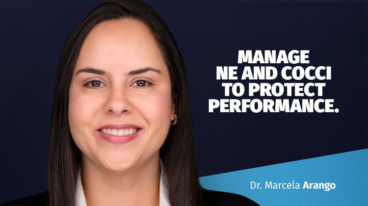 Banner image of Marcela Arango