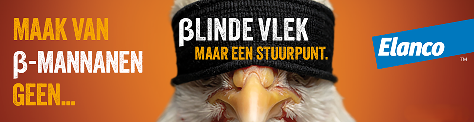 Hemicell-Poultry-Banner