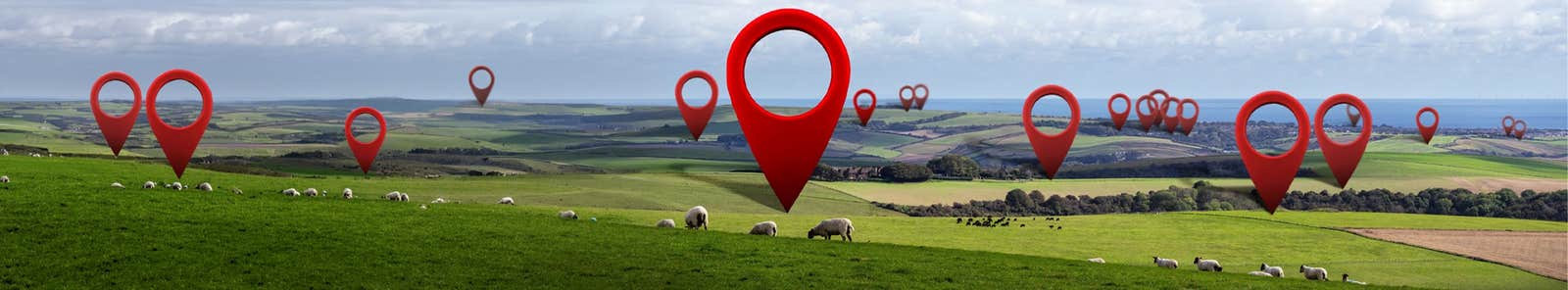 Elanco blowfly tracker banner