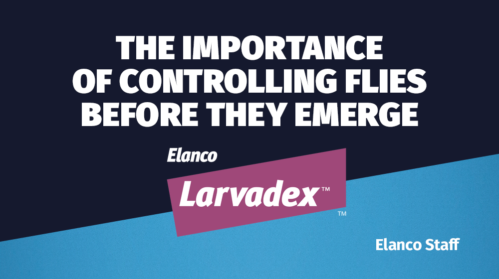 Digital banner featuring the Elanco Larvadex logo with the headline, 'The Importance of Controlling Flies Before They Emerge'.


