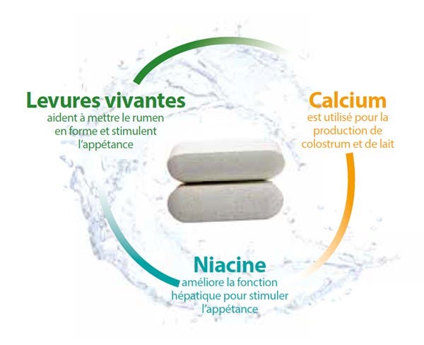 Composition du produit