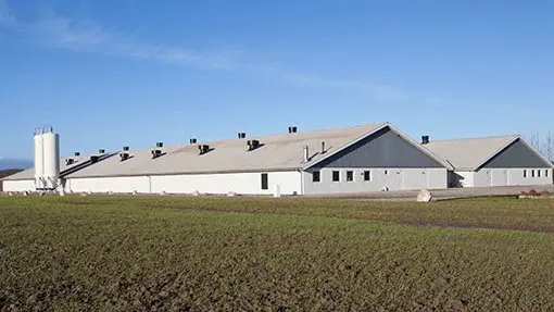 Poultry House with Integrated Pest Management