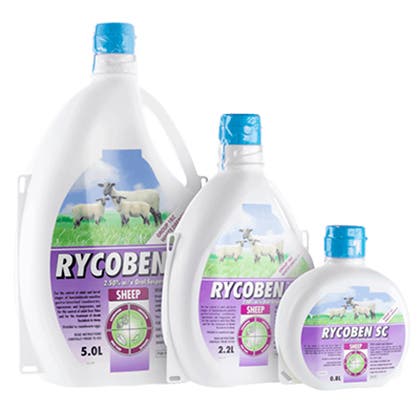 Rycoben SC 1-BZ white drench wormer for sheep treats nematodirus