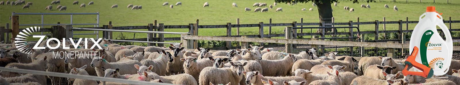 Benefits of good worm control