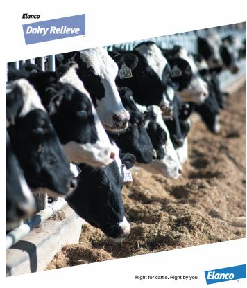 Elanco Dairy Relieve marketing image featuring a row of Holstein dairy cows at a feed bunk. Includes the Dairy Relieve logo and the Elanco tagline: "Right for cattle. Right by you."