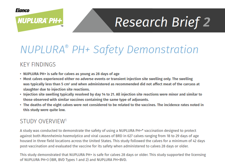 Nuplura Research Brief