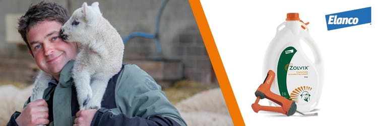 Zolvix is worth every penny in sheep worm control