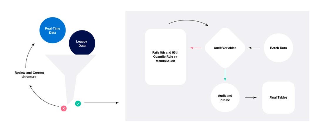 Data auditing process for Benchmark.