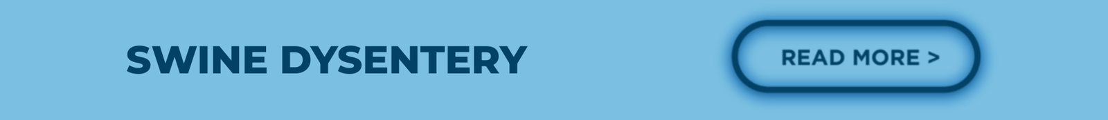 Swine Dysentery Navigation Image