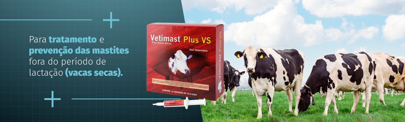 Banner Elanco Vetimast Plus VS