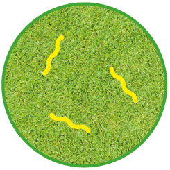 Low risk pasture icon