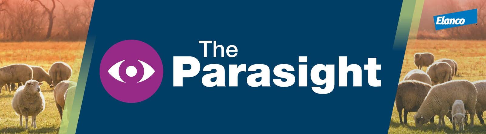 The Parasight for updates on seasonal parasite challenges to sheep cattle and dairy cows