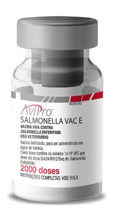 Frasco de Salmonella VAC E