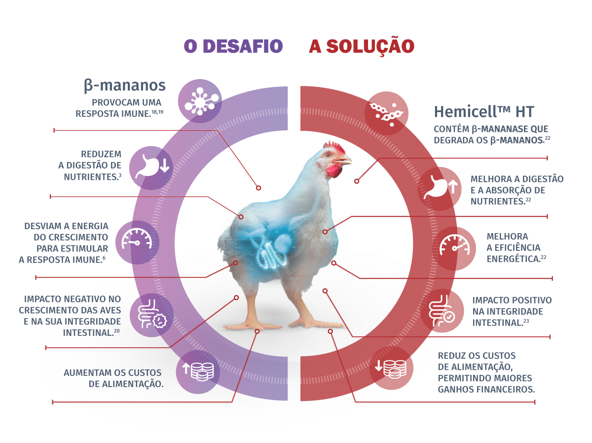 Infográfico Hemicell Frangos