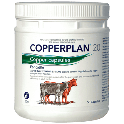 copperplan 20 packshot