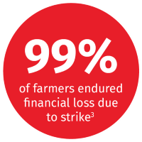 99% of farmers endured financial loss due to blowfly strike