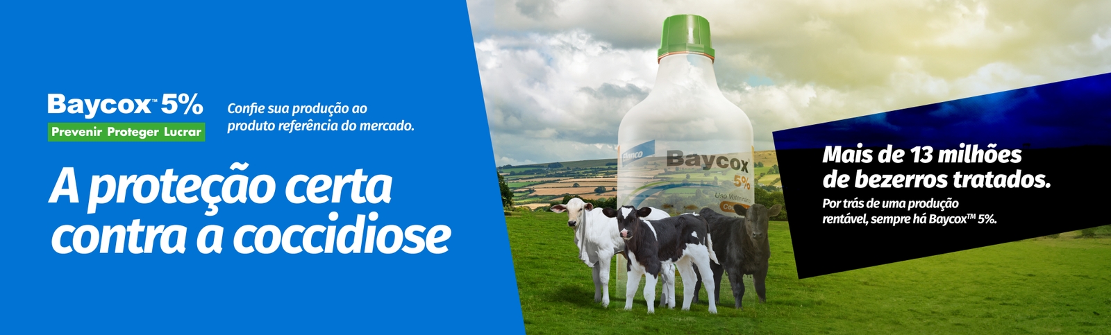 Banner Baycox 5% Elanco