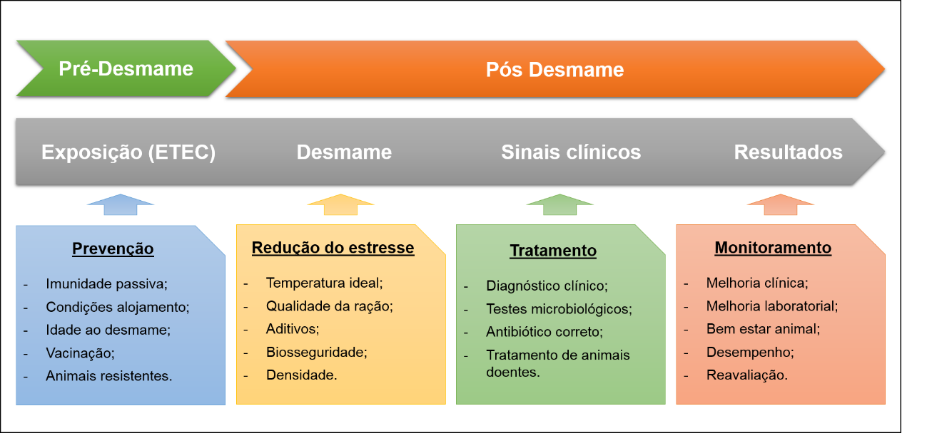 Fatores de risco da CPD