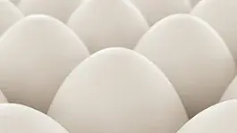Eggs in a carton ready to be sold