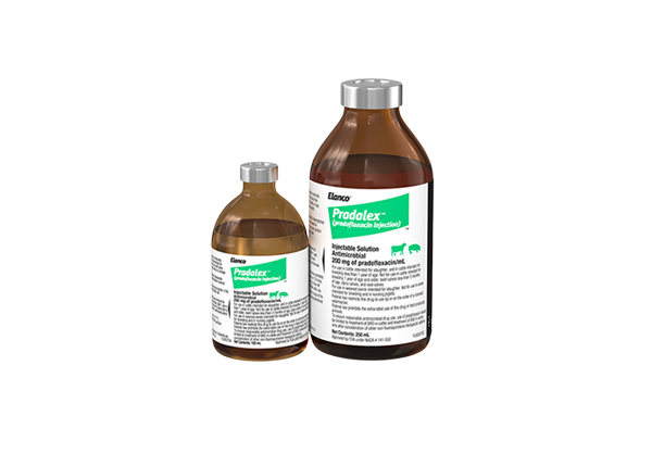 Two amber glass vials for Pradalex in different sizes, featuring white labels with green accents.
