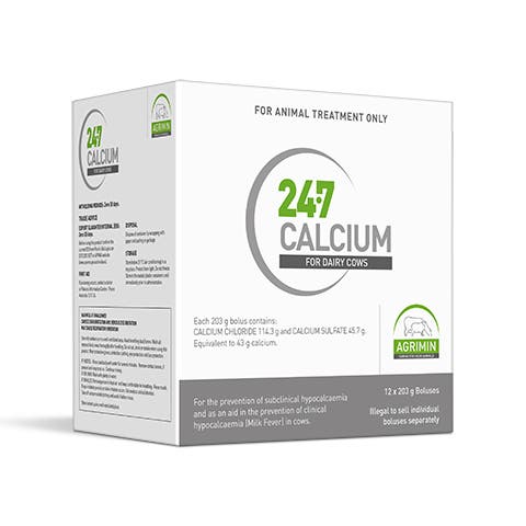 24·7 Calcium Boluses for Dairy Cows | Elanco Australia