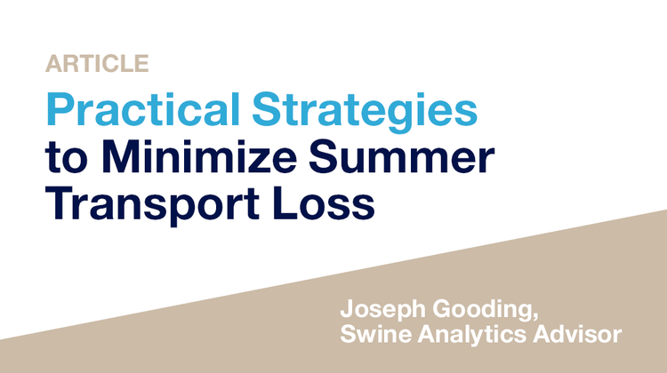Practical Strategies to Minimize Summer Transport Loss