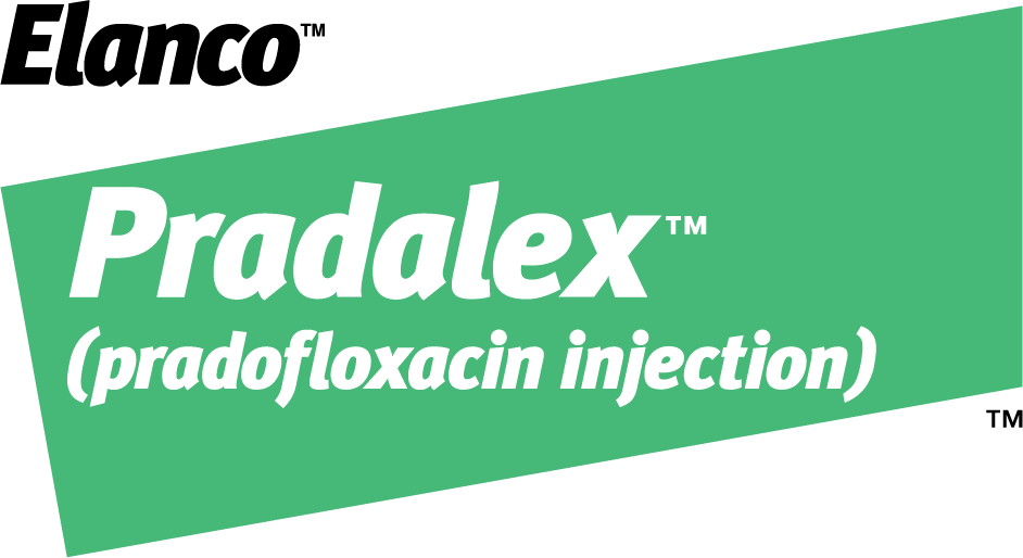 Pradalex (pradofloxacin injection) by Elanco 