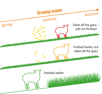 Benefits of good worm control