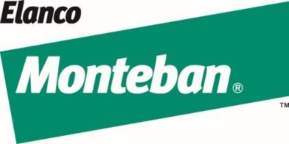 Monteban logo
