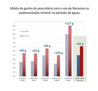 Gráfico demonstrando a média do ganho de peso diário com o uso de Narasina na suplementação mineral no período das águas.